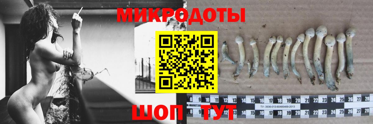 Псилоцибиновые грибы Psilocybine cubensis  Вход с VPN  где продают наркотики  Елабуга 